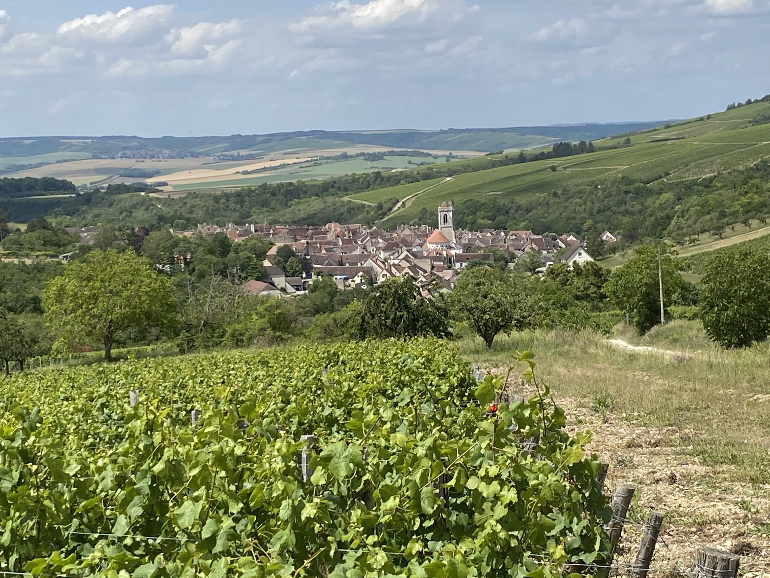 Chablis day-trip from paris