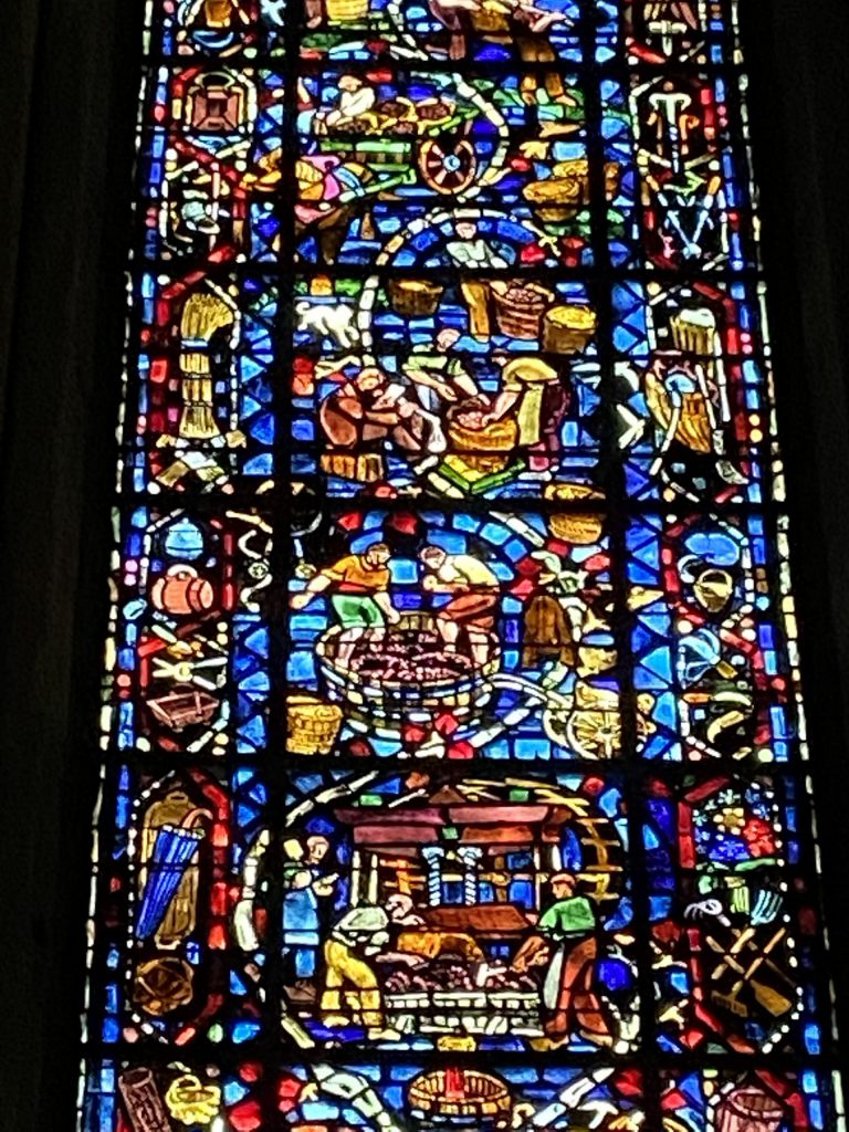 Stain glass vineyard work in Reims Cathedral